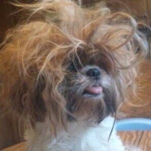 Meet your Posher, Rebekah